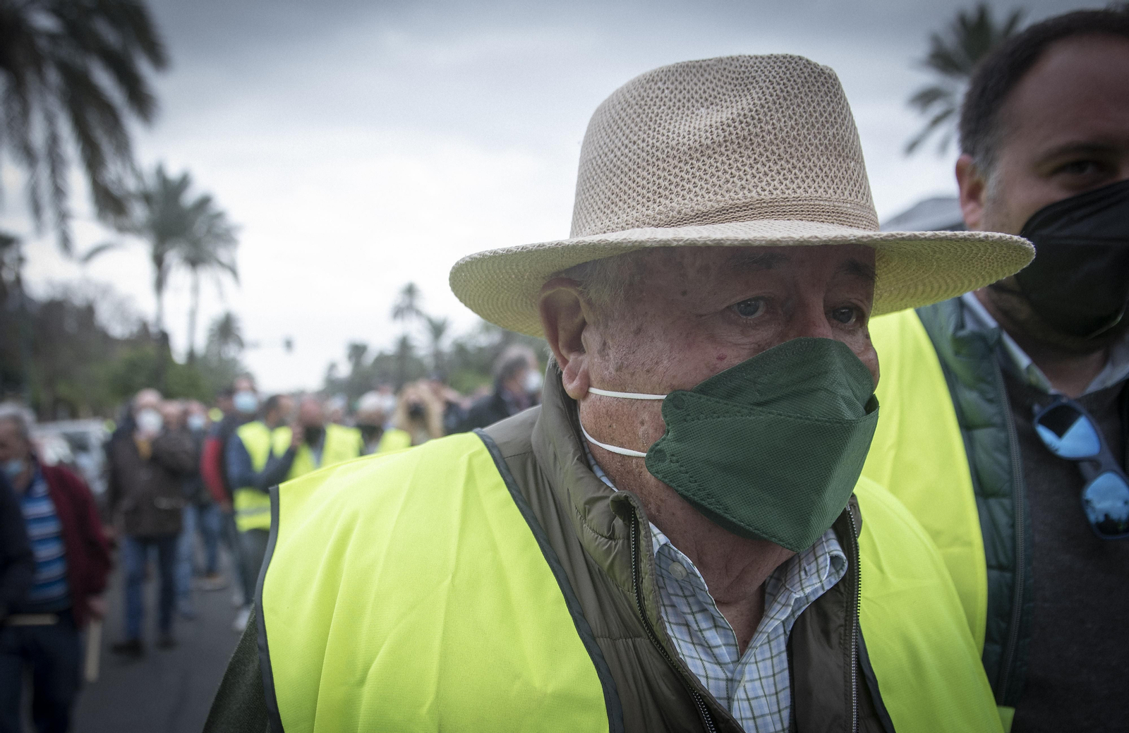 Las imágenes de la manifestación de agricultores de toda Andalucía en Sevilla