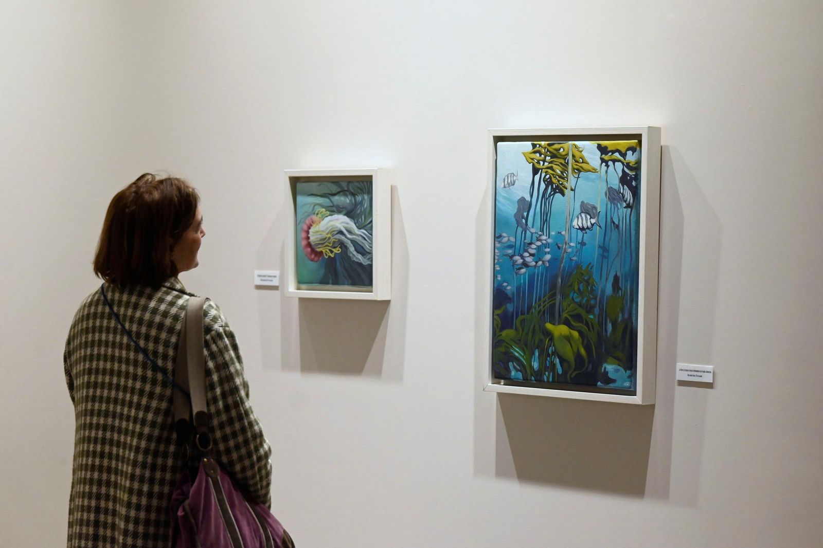 En fotos, la exposición que te llevará hasta el fondo del mar sin moverte de Córdoba