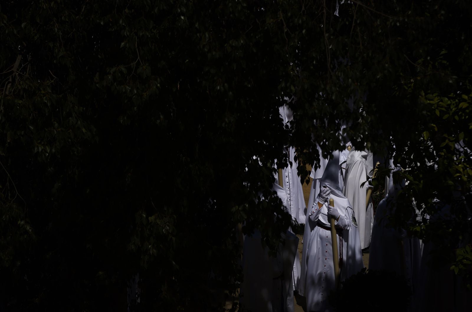 Fotos de La Paz el Domingo de Ramos en la Semana Santa de Sevilla