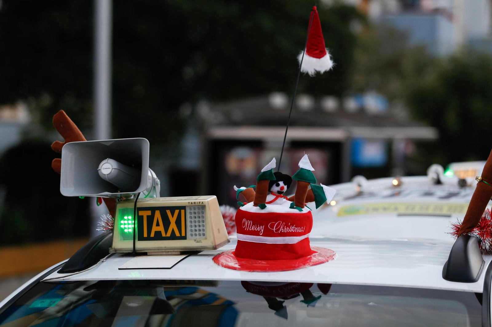 Las fotos del paseo en taxi al alumbrado de Navidad de Algeciras para los mayores