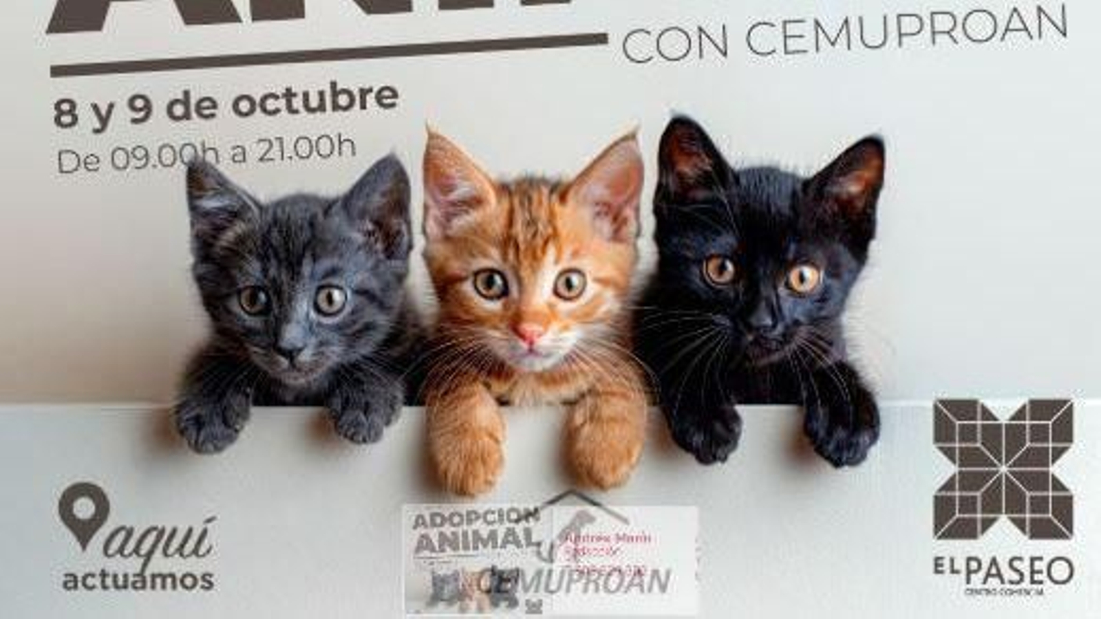 Una imagen del anuncio de la actividad.