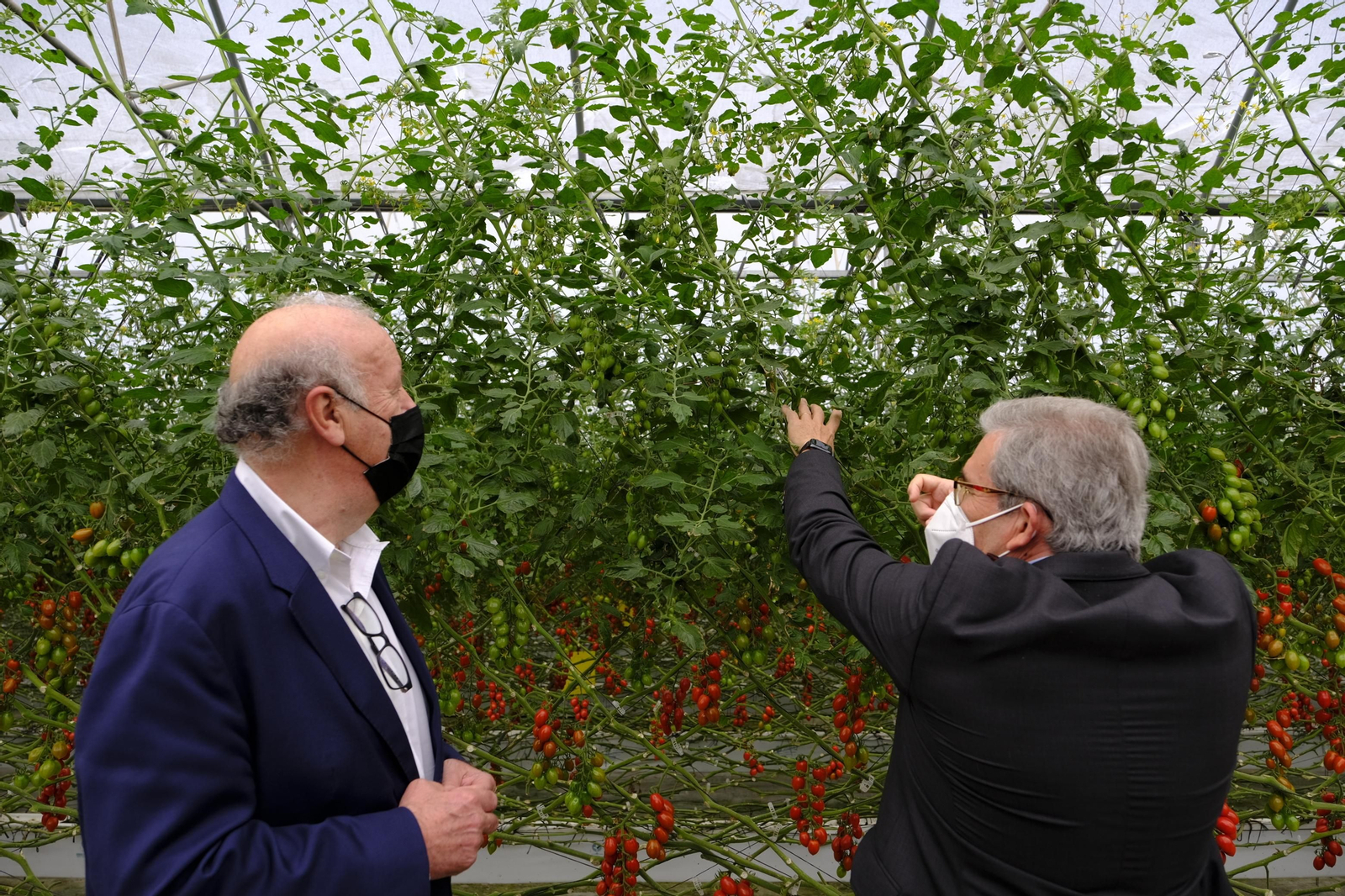 Fotogalería de la visita de Vicente del Bosque a Grupo Caparrós.