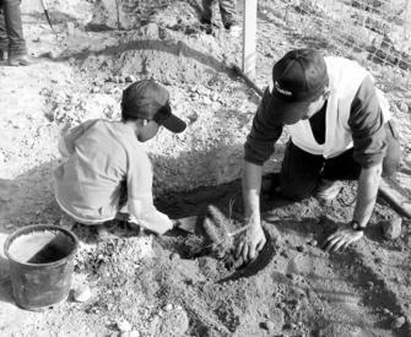 Holcim realizó recientemente una plantación de árboles con niños en Carboneras.
