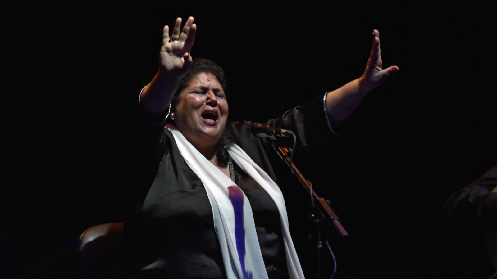 Las fotos de XXVII edición de La Palma de Plata