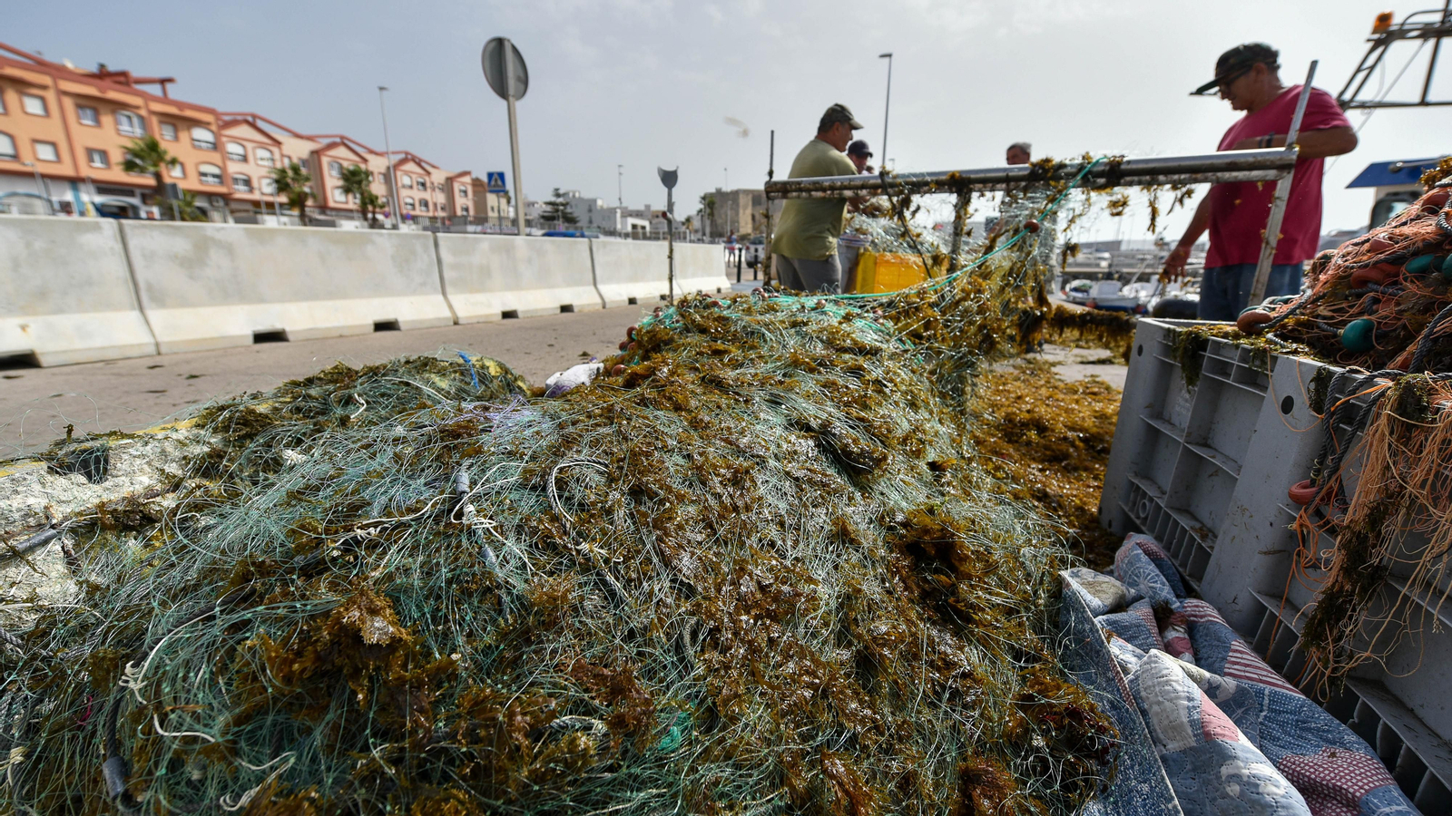 Las fotos del puerto pesquero de Tarifa
