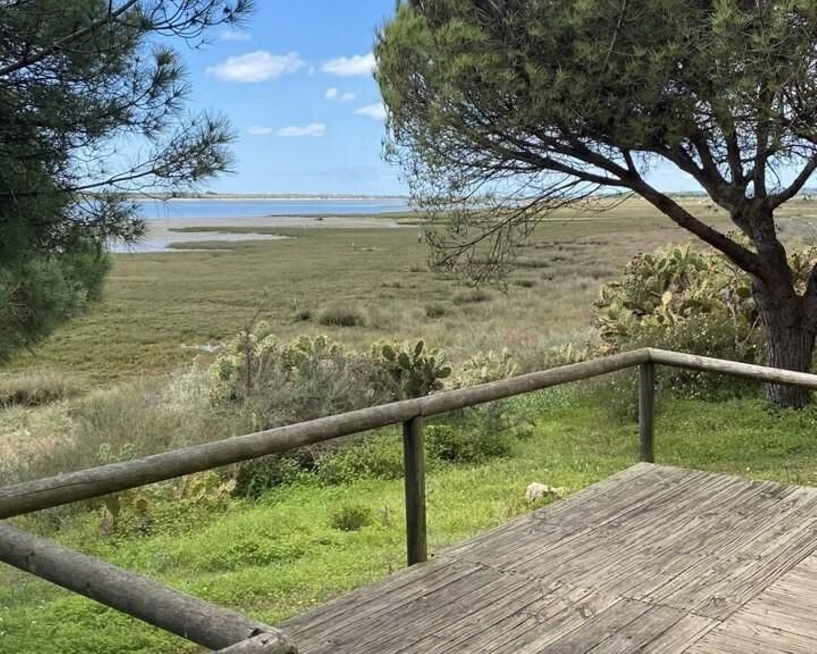 Mirador Sendero del Río Piedras Seis miradores desde los que enamorarte de Huelva