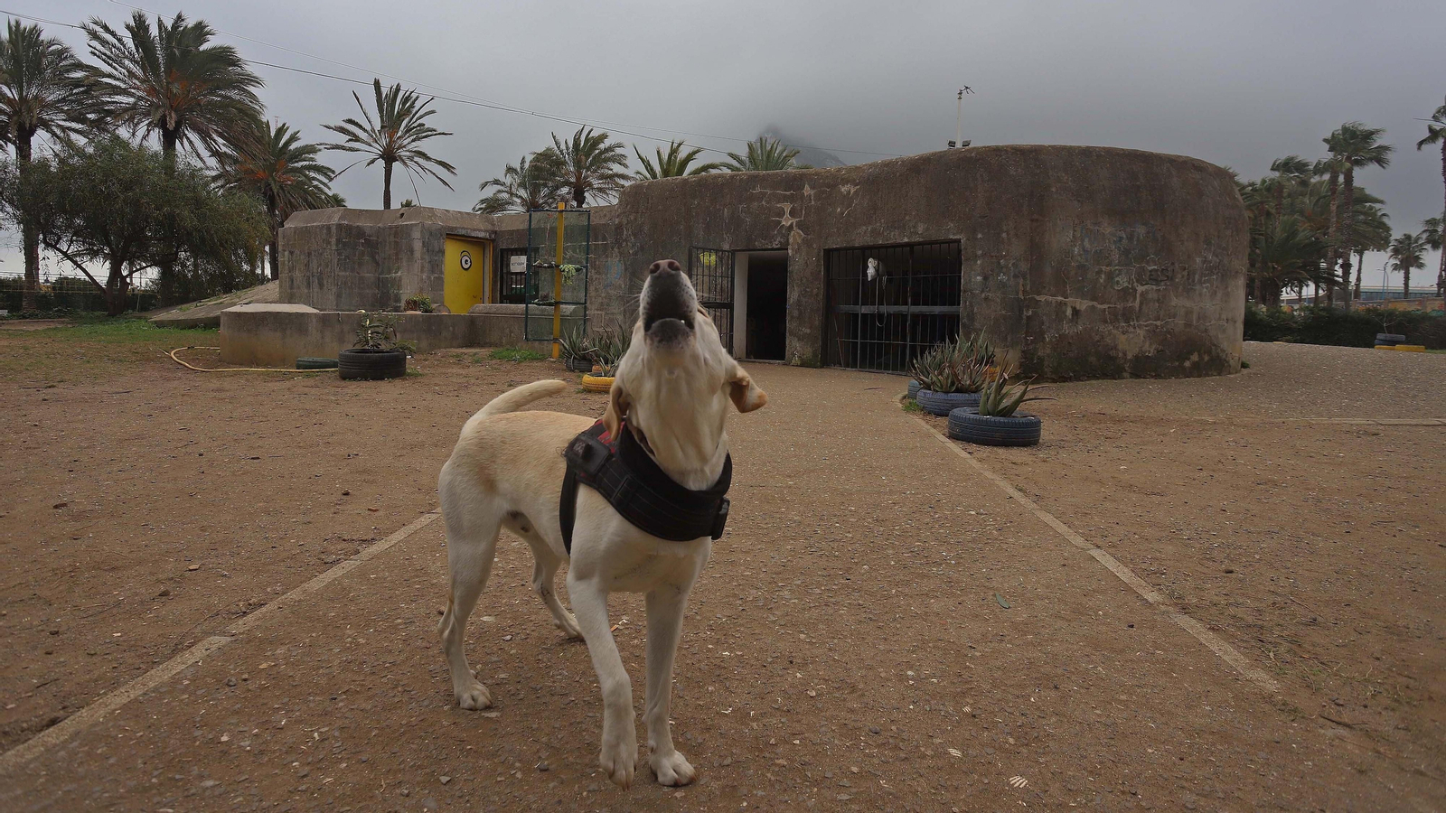 Búnkeres del parque Princesa Sofía de La Línea