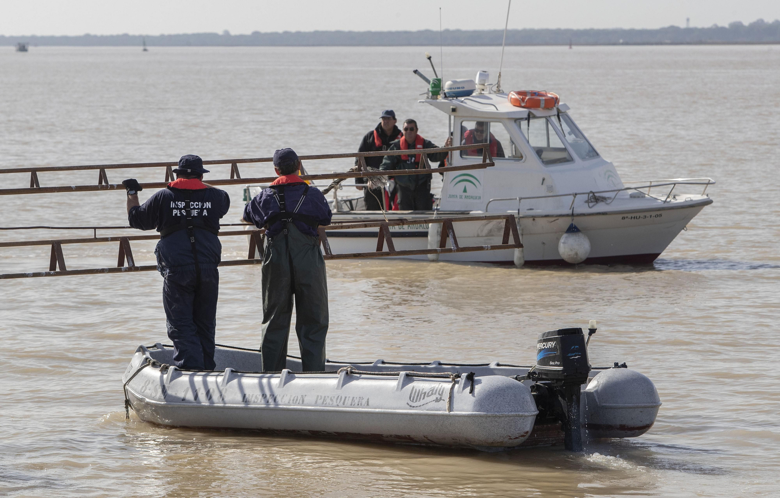 Operación Ave  fenix contra la pesca  de la angula