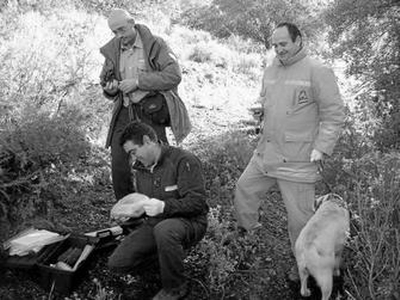 Una unidad de la Junta recoge cebos envenenados, en una imagen de archivo.