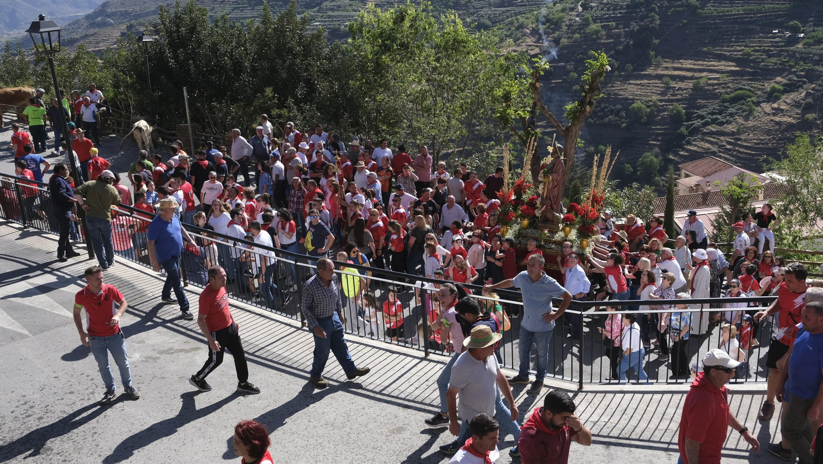 Imágenes de los toros ensogaos y San Marcos, en las Fiestas de Ohanes