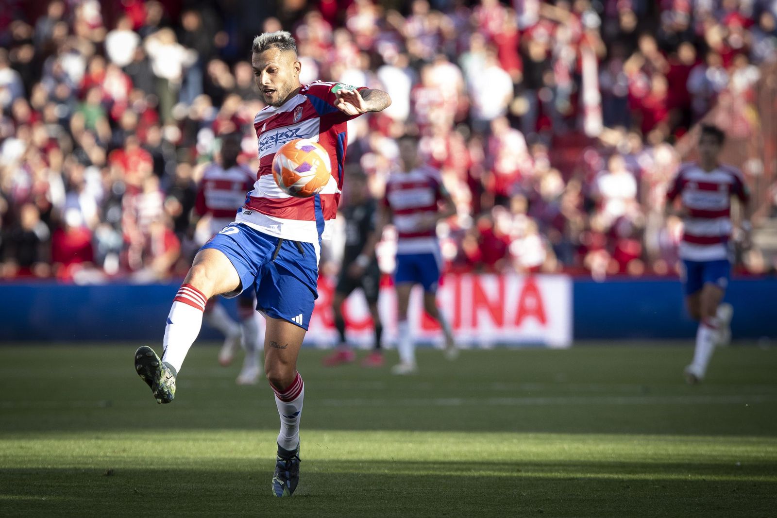 Las mejores imágenes del Granada CF-UD Almería