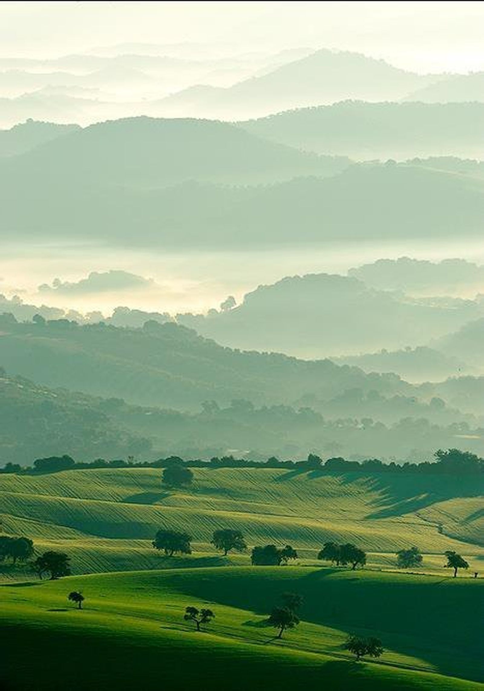 Una vista del paisaje de la zona, tomada por Diego Navarro y premiada en 2009 / Reportaje gráfico: AULA MIGUEL CALA SÁNCHEZ