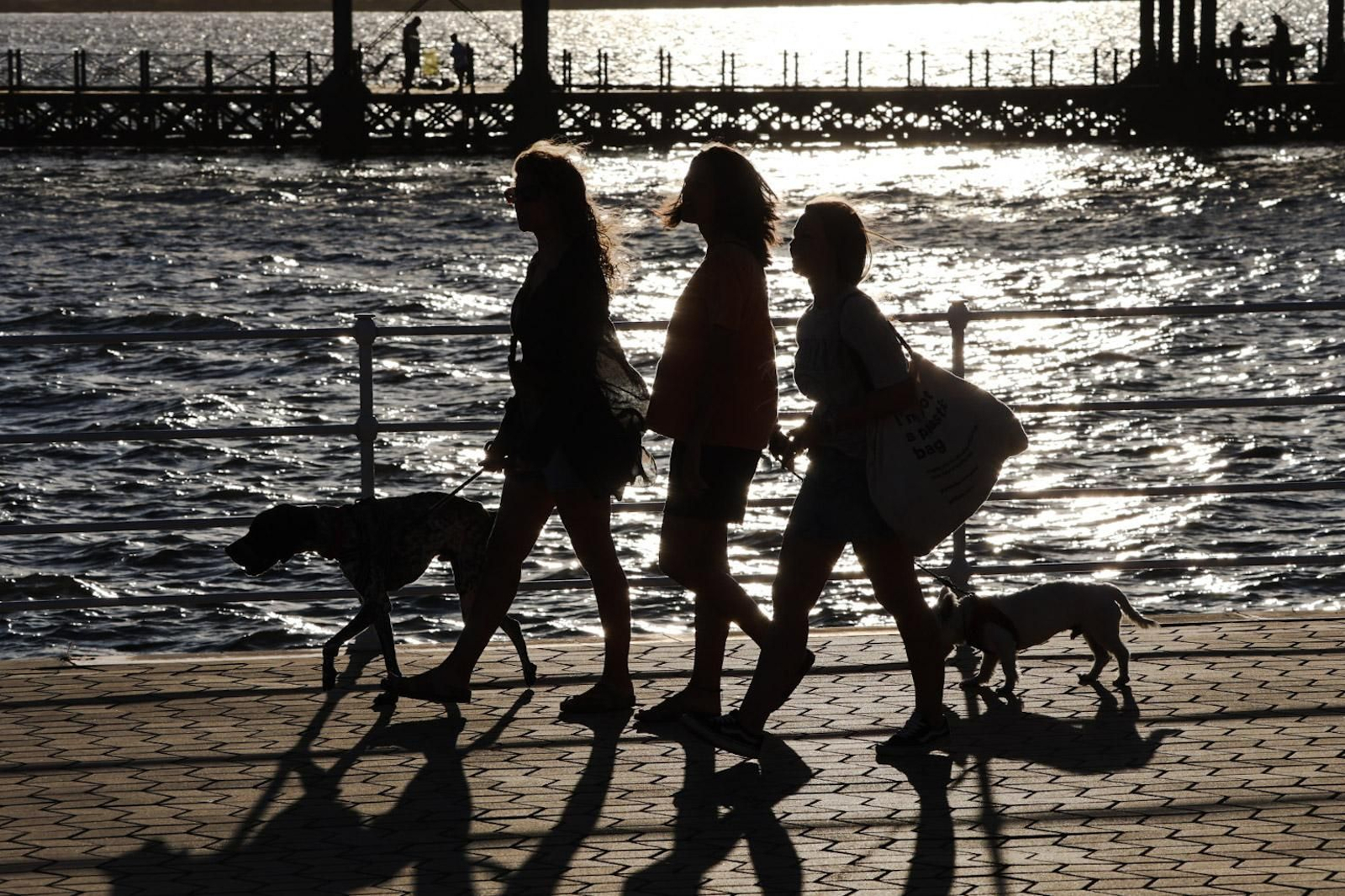 El muelle de la compañía Rio Tinto, el lugar de Huelva donde cada atardecer es un espectáculo diferente
