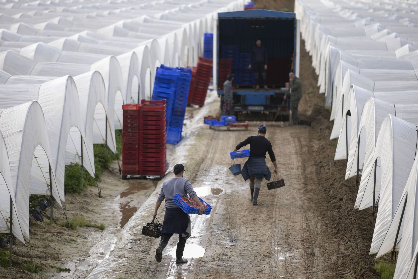 Explotación agrícola en Huelva