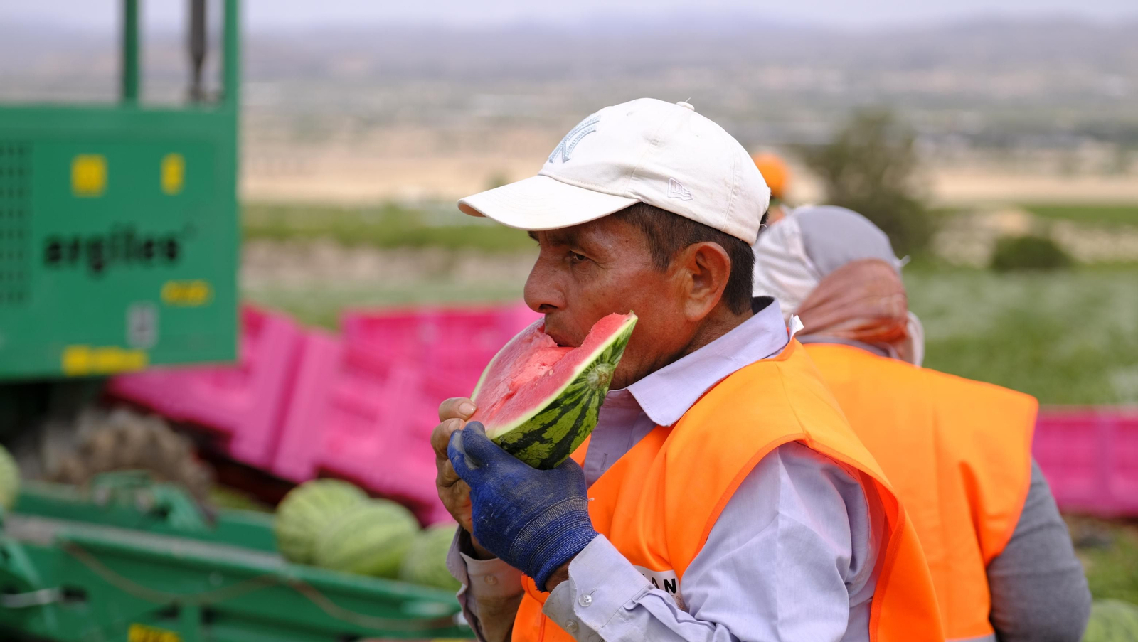 La sandía y el melón de Huércal Overa, manjares en imágenes