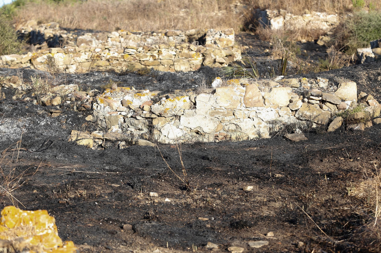 Daños en el Parque Centenario de Algeciras tras el incendio nocturno, en imágenes