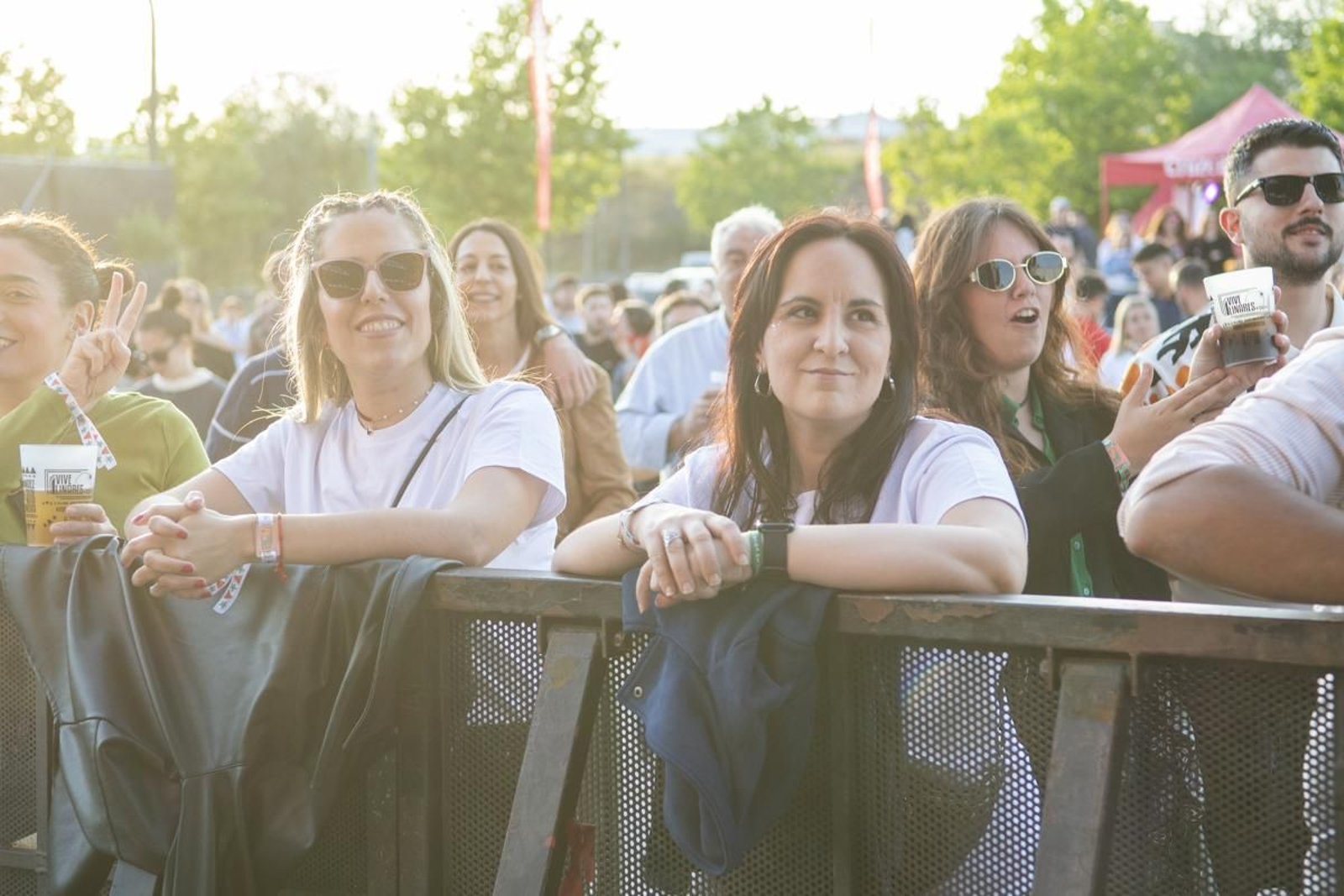 Las mejores imágenes del Festival Vive Linares