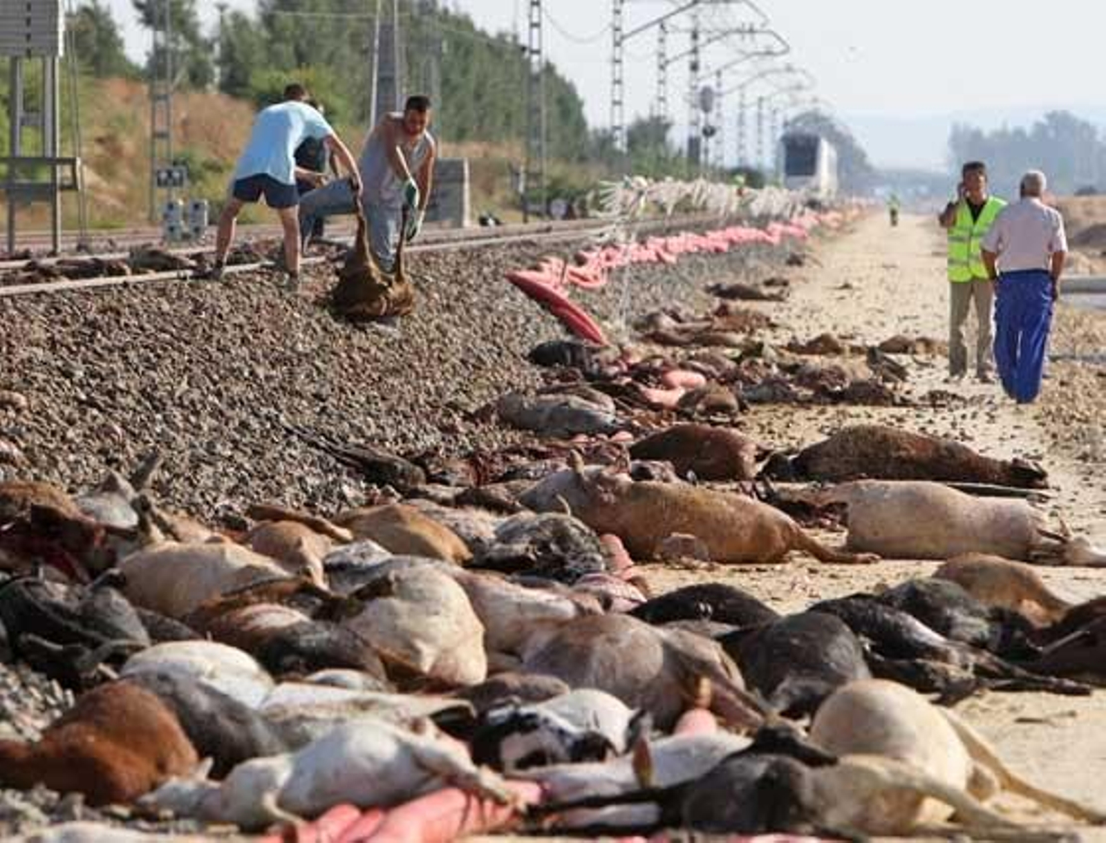 Operarios trabajando para poder restablecer la circulación.

Foto: Juan Carlos Toro