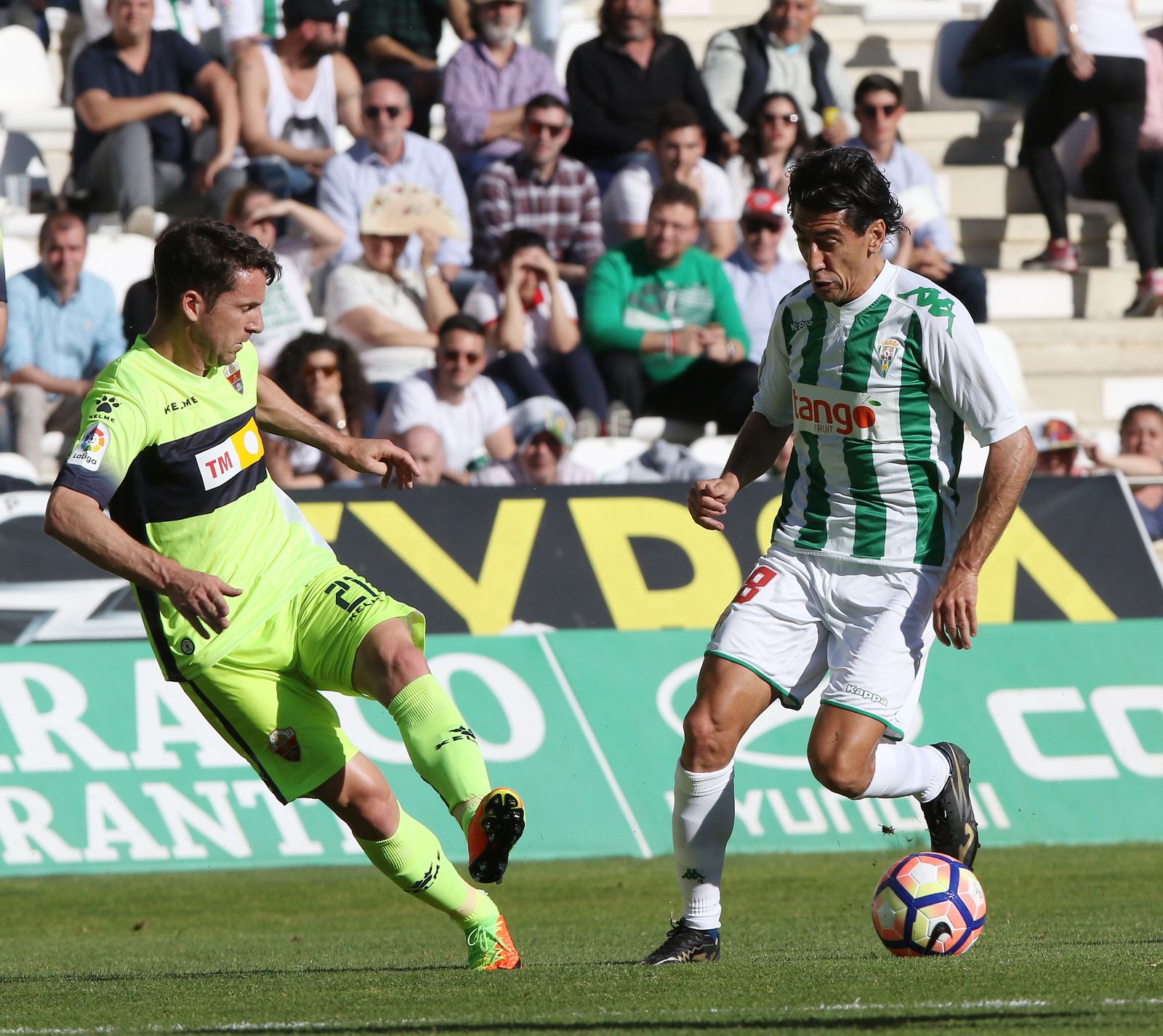 Las imágenes del Córdoba-Elche