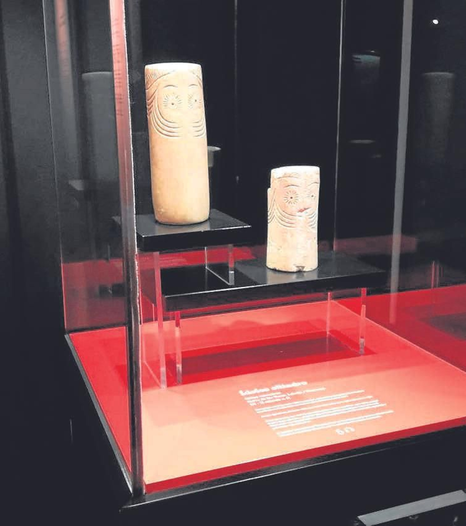 El equipamiento del Museo cumple una función pedagógica. El equipamiento del Museo cumple una función pedagógica.