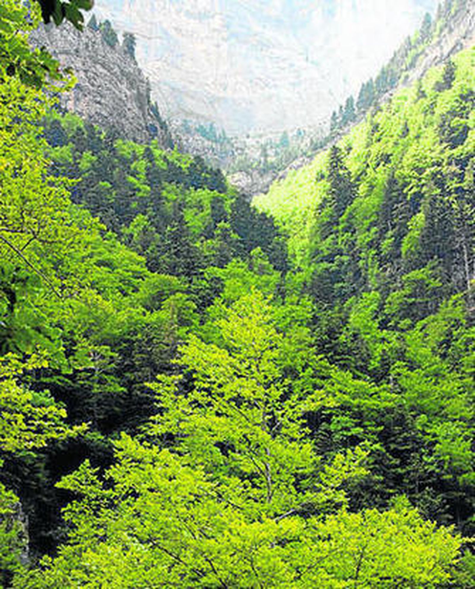 Dori Fernández despierta su mirada pasajera con la exposición 'Shanshui'