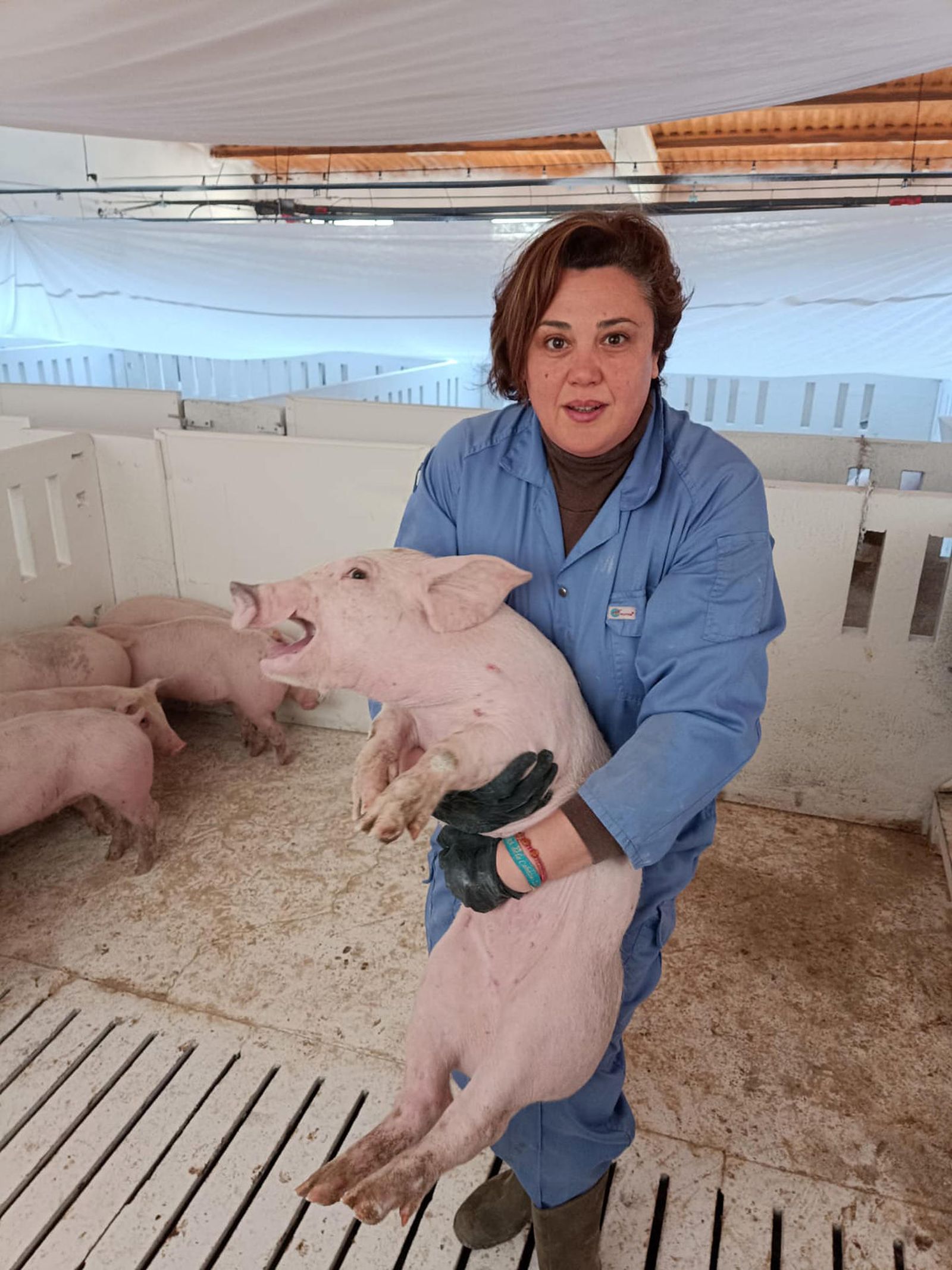 Susana Rojo, titular de una explotación de 4.500 cerdos en Freila