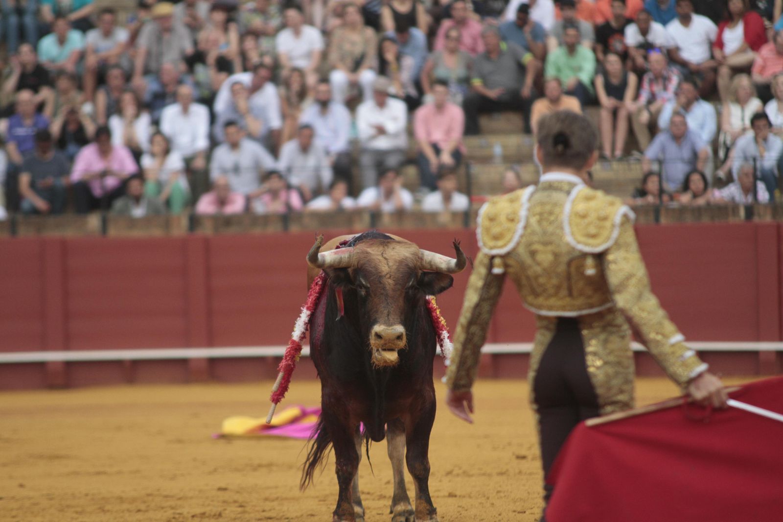 Las imágenes de la decimosexta de abono de La Maestranza