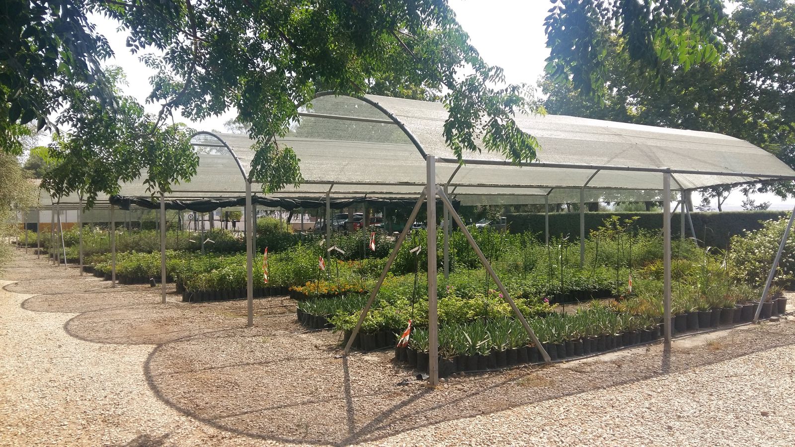 Vivero Provincial del Centro Agropecuario Provincial.