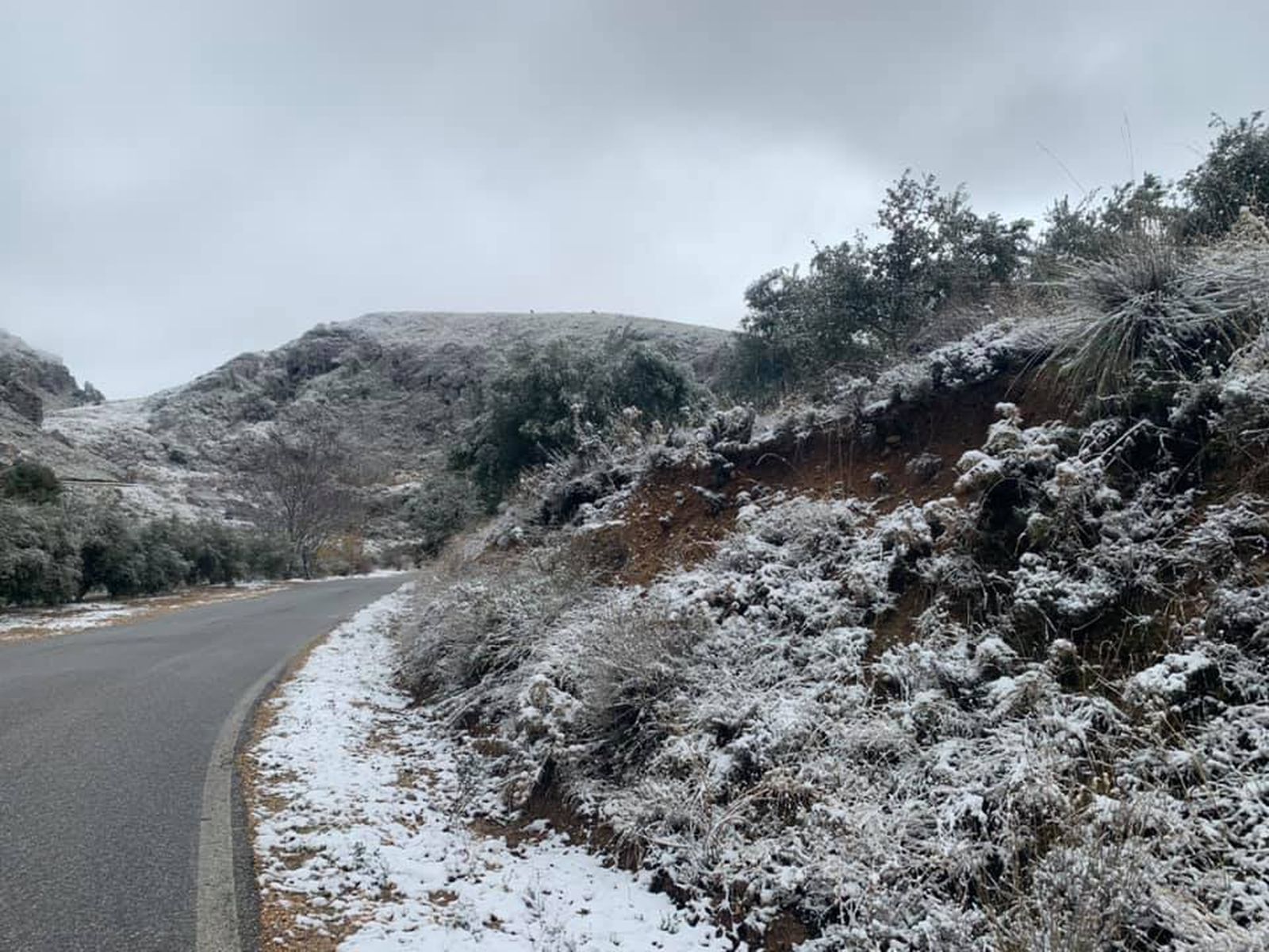 Fotos: La nieve llega a Granada capital y a pueblos del Cinturón