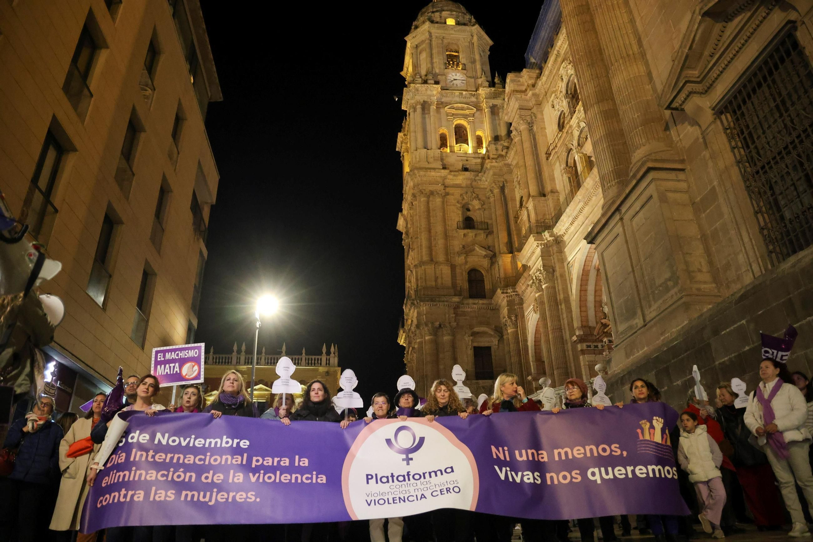 La manifestación del 25N en Málaga, en imágenes