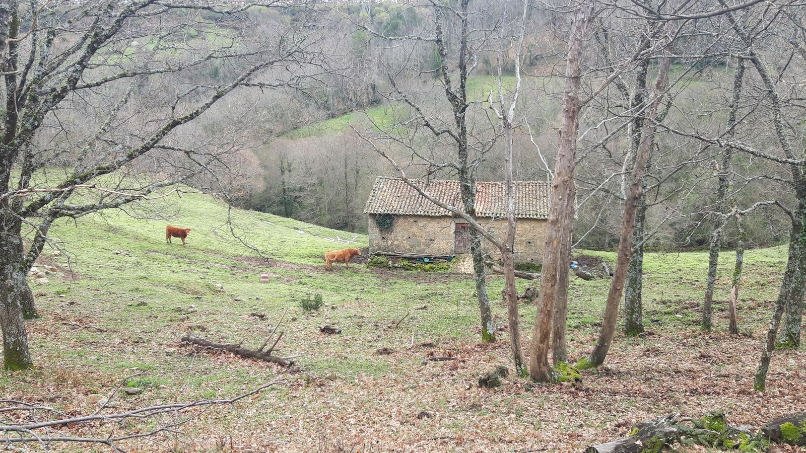 El paisaje cambia bastante respecto a lo visto jornadas atrás.