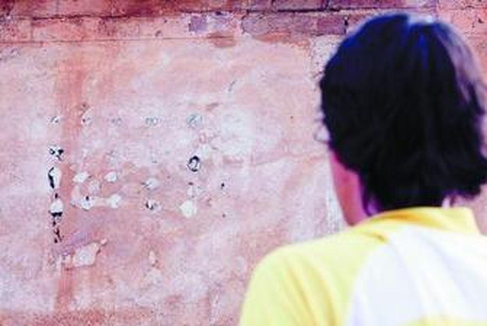 Emucesa, empresa municipal responsable del cementerio, retiró la placa hace unos días.