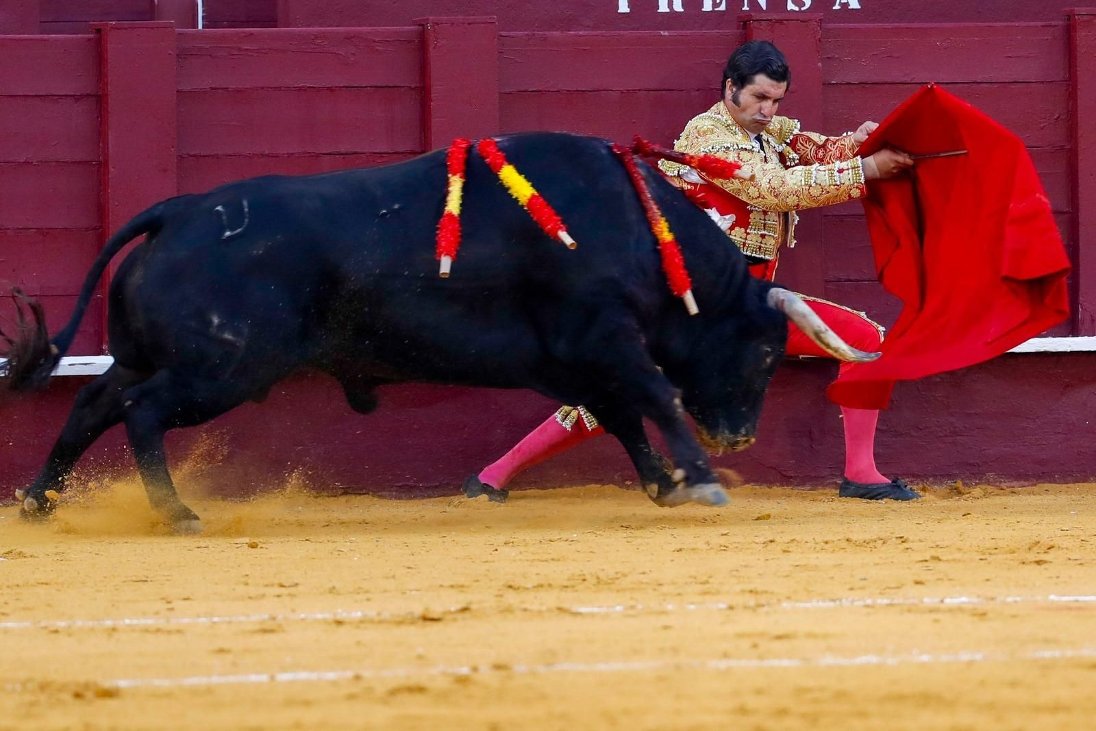 El diestro Morante de la Puebla da un pase con la muleta.