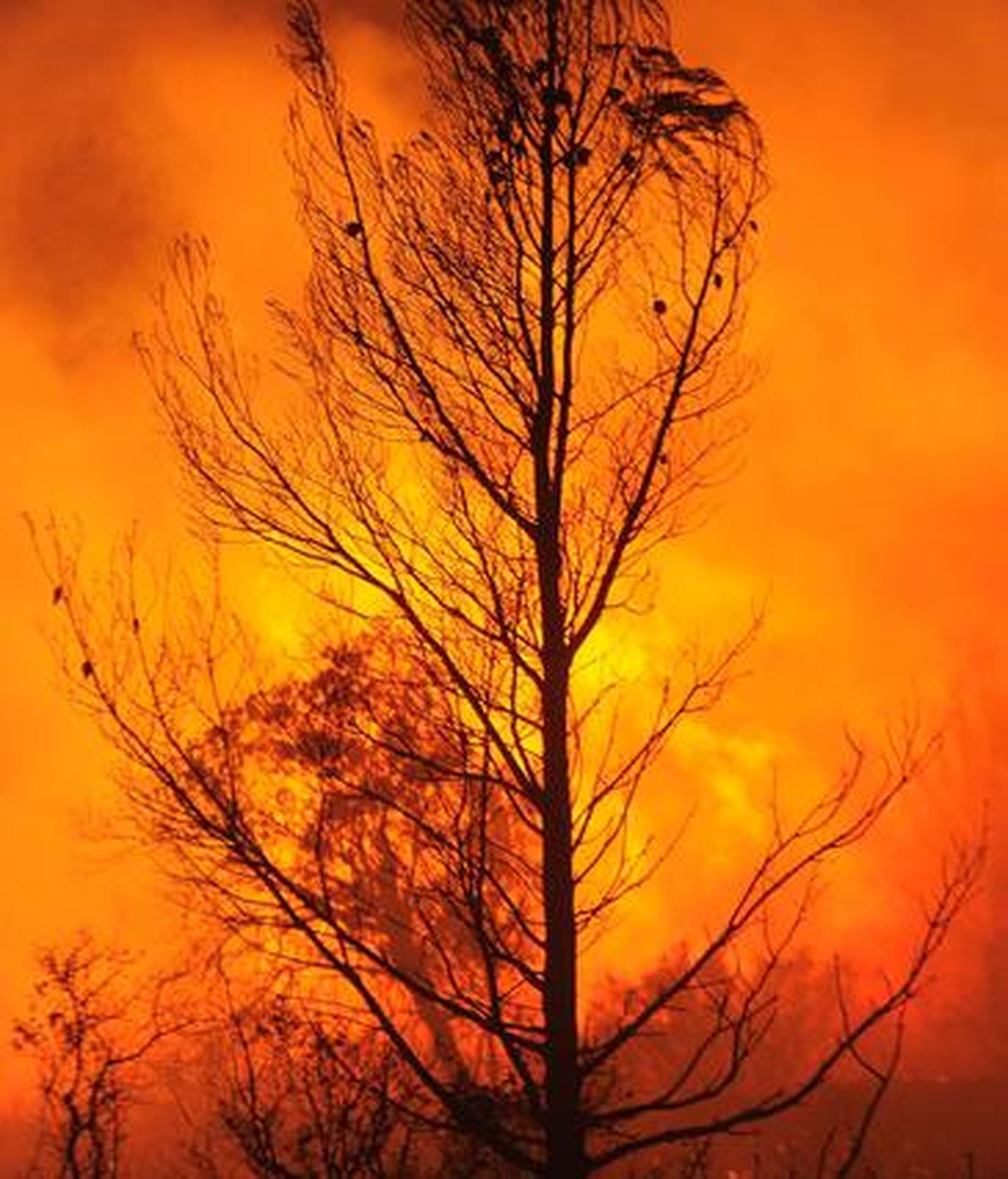Imágenes del incendio de La Jonquera.

Foto: AFP