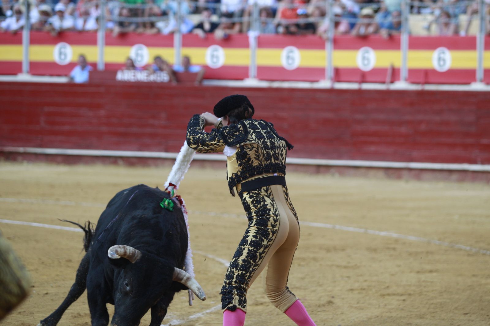 Imágenes del triunfo del torero almeriense Jorge Martínez el día de su alternativa