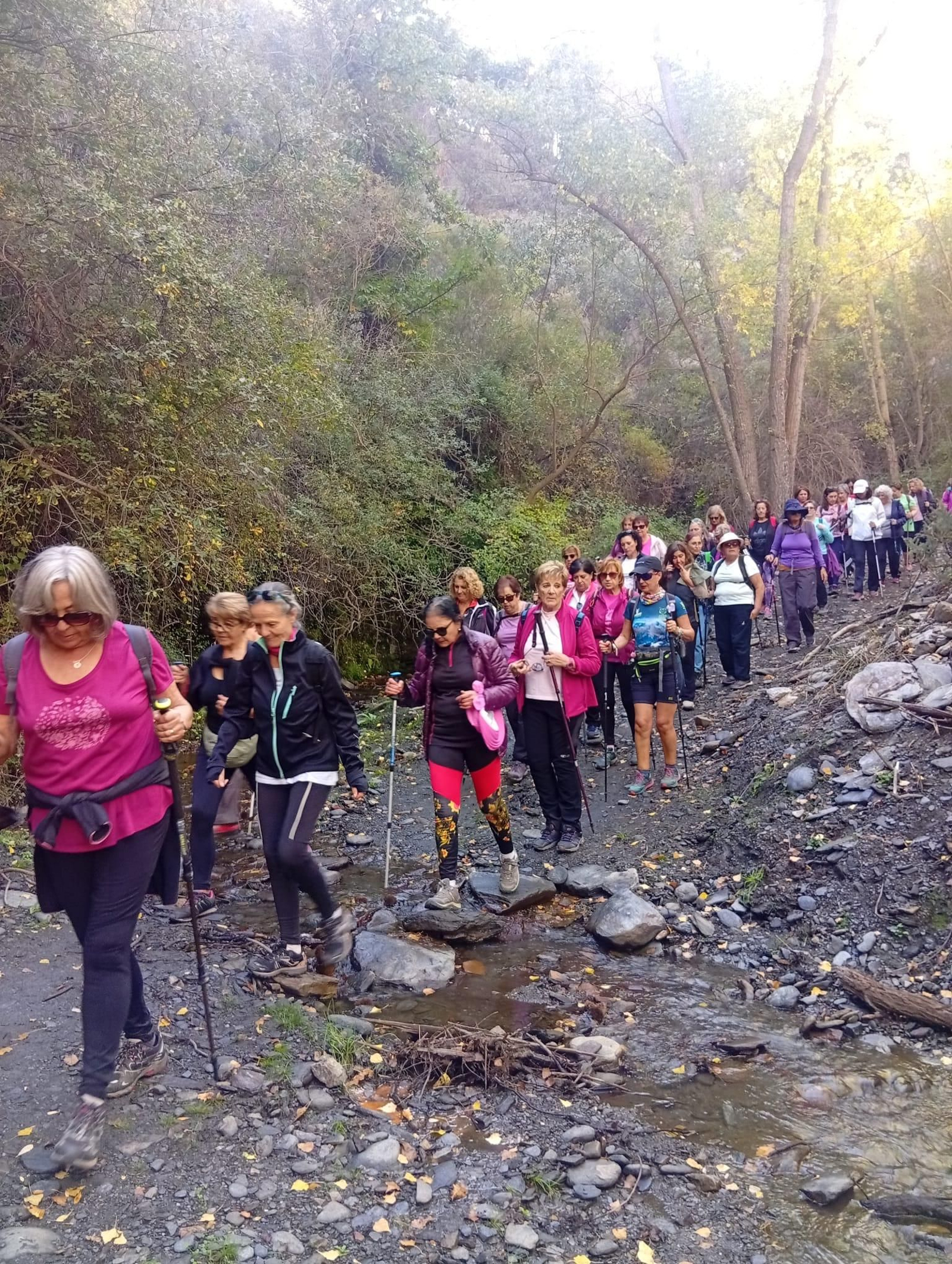 Así fue la caminata de estos vecinos de Guadix por el Castañar de Jérez del Marquesado