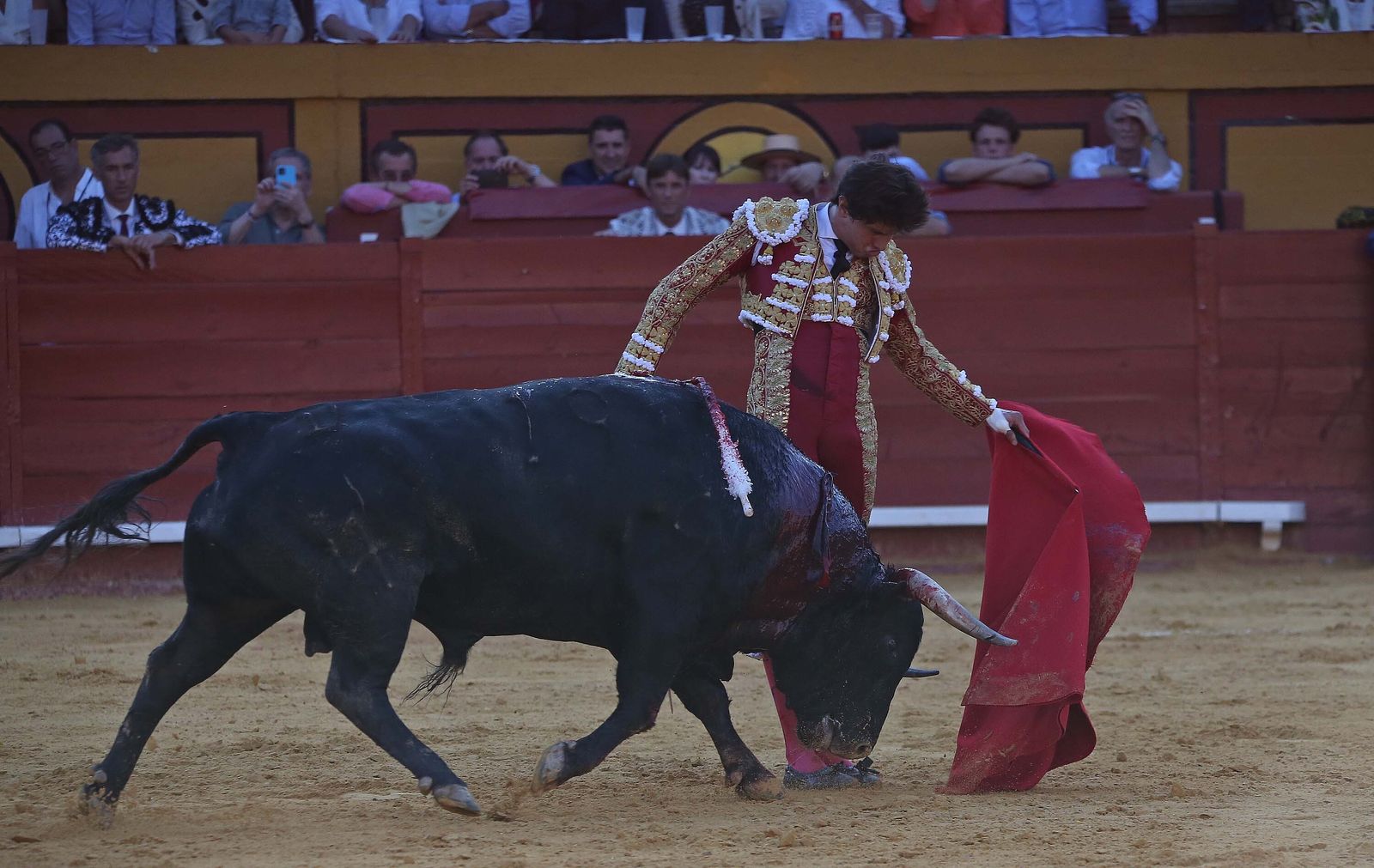Fotos de la corrida del jueves de la Feria Taurina de Algeciras 2023:  Salvador Vega, Roca Rey y Pablo Aguado