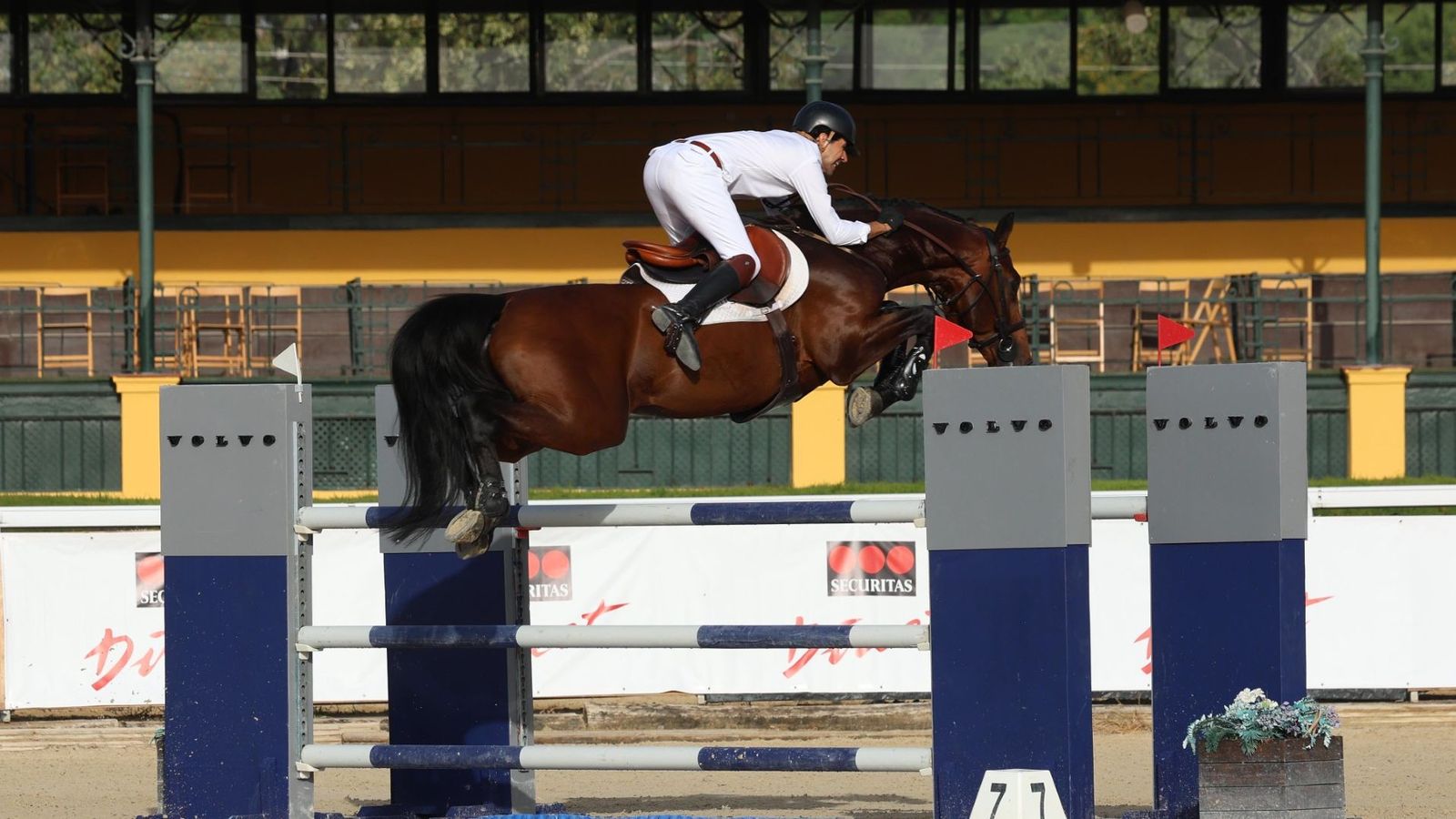 Patricio de Valdenebro, ganador del Trofeo Volvo junto a su jinete Klimax van Het Lindehof