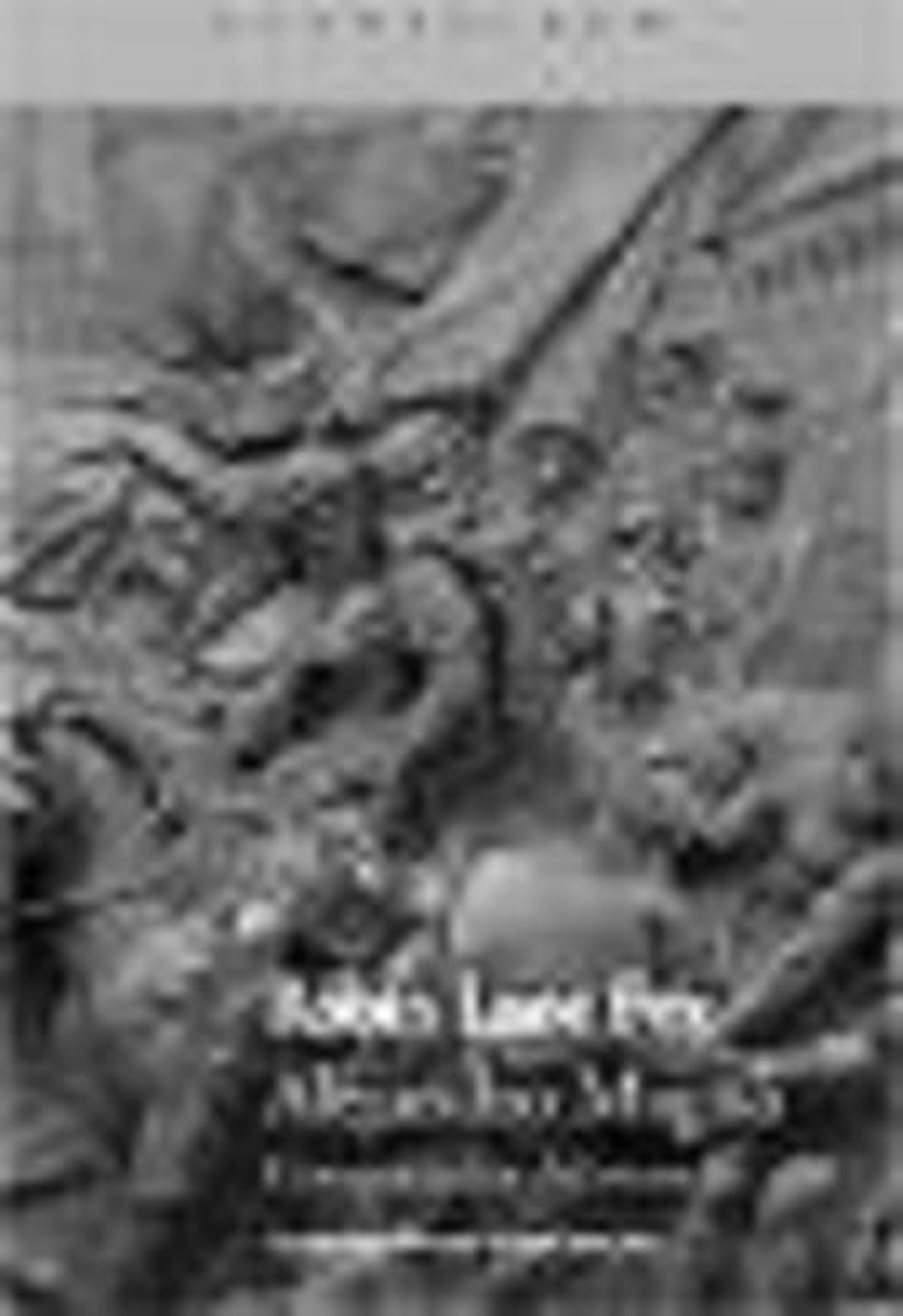 Alejandro Magno, Hijo del Rayo, rey de Macedonia y conquistador del mundo.