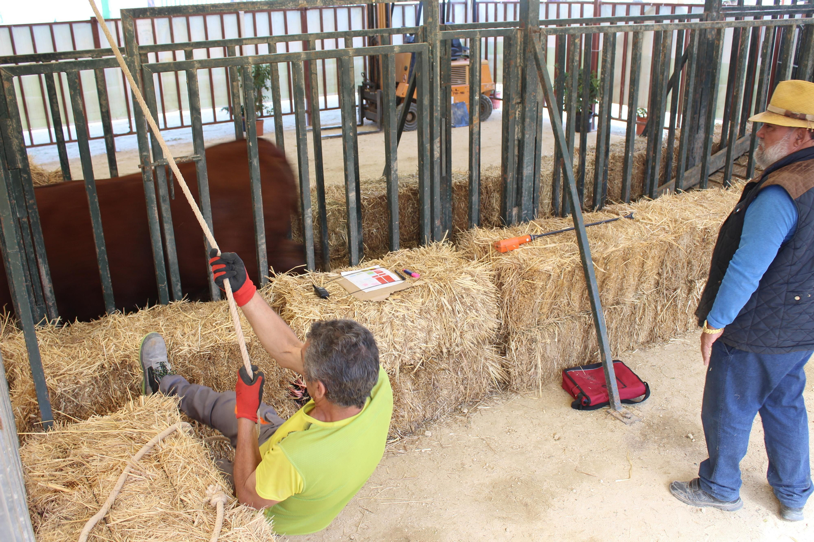 Jueves de feria de Vejer, en imágenes