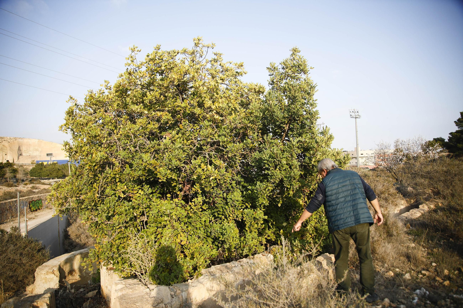 Imágenes de los refugios de la guerra civil descubierto en el barrio de Las Trincheras