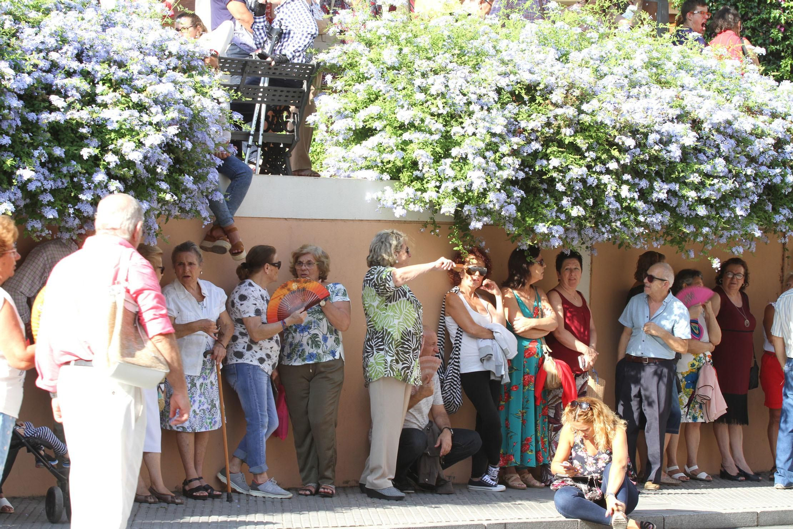 Imágenes de la bajada de La Cinta a la Catedral de La Merced