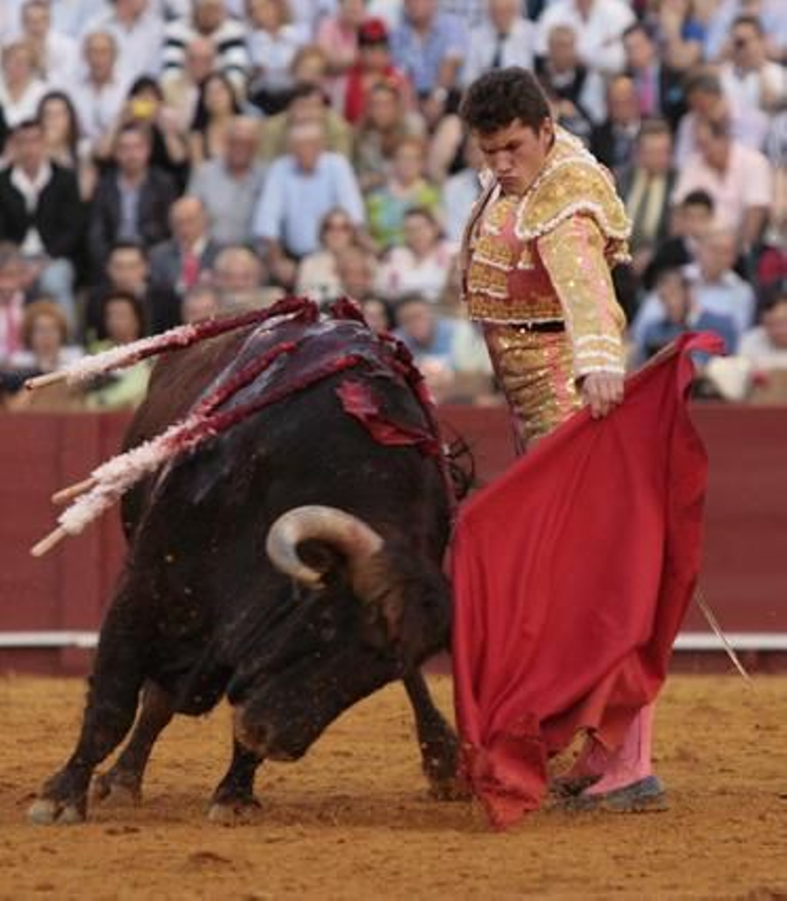 Luque cierra la tarde con el sexto toro.

Foto: Juan Carlos Muñoz
