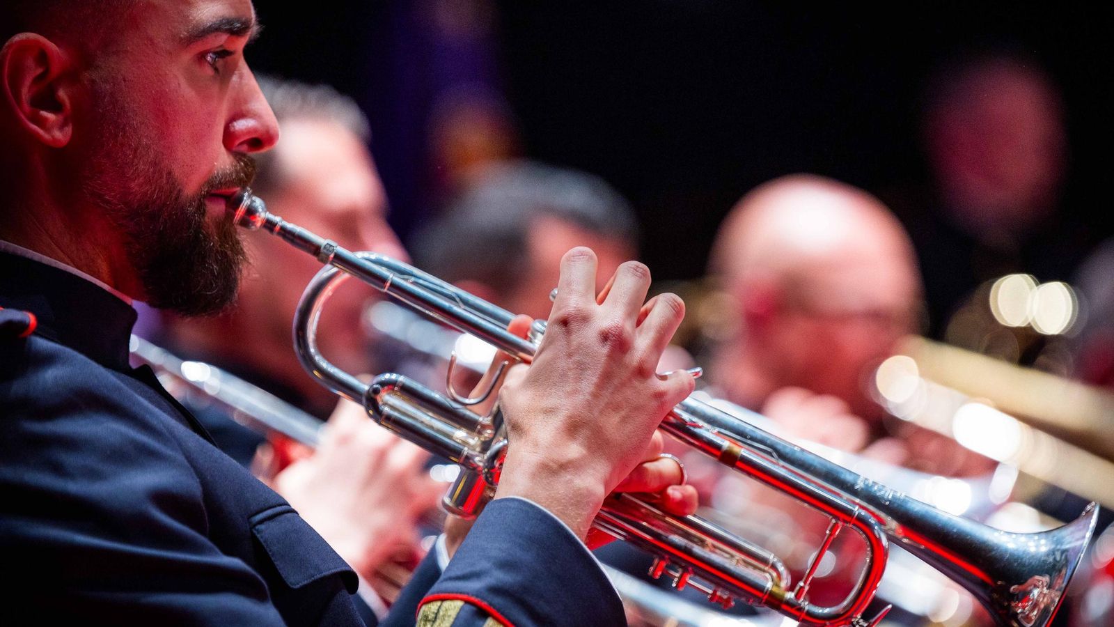 Homenaje al Rey en forma de concierto: la banda de Tercio Sur conmemora el X aniversario del reinado de Felipe VI Homenaje al Rey en forma de concierto: la banda de Tercio Sur conmemora el X aniversario del reinado de Felipe VI