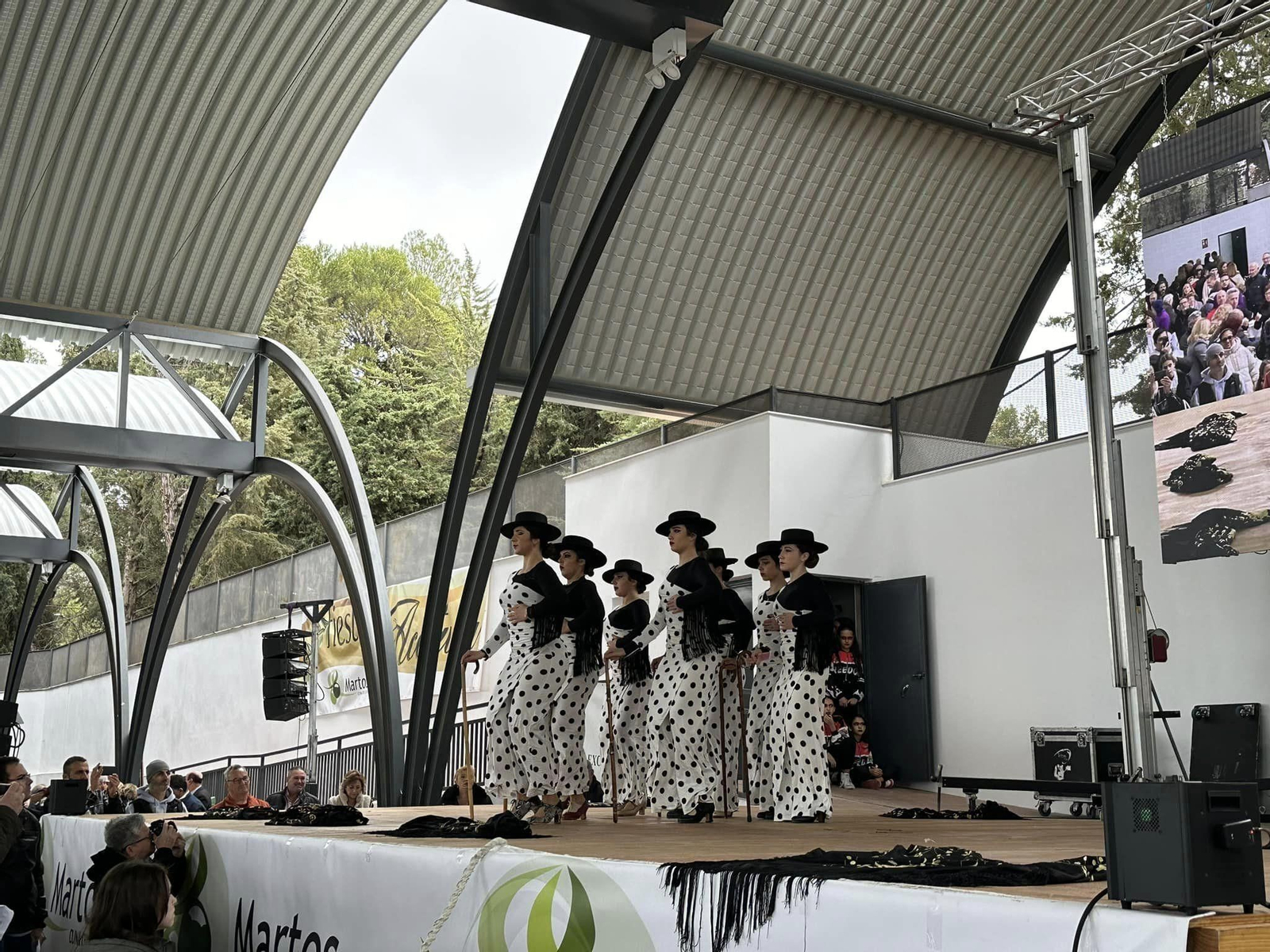 En imágenes: así se ha vivido la Fiesta de la Aceituna de Martos