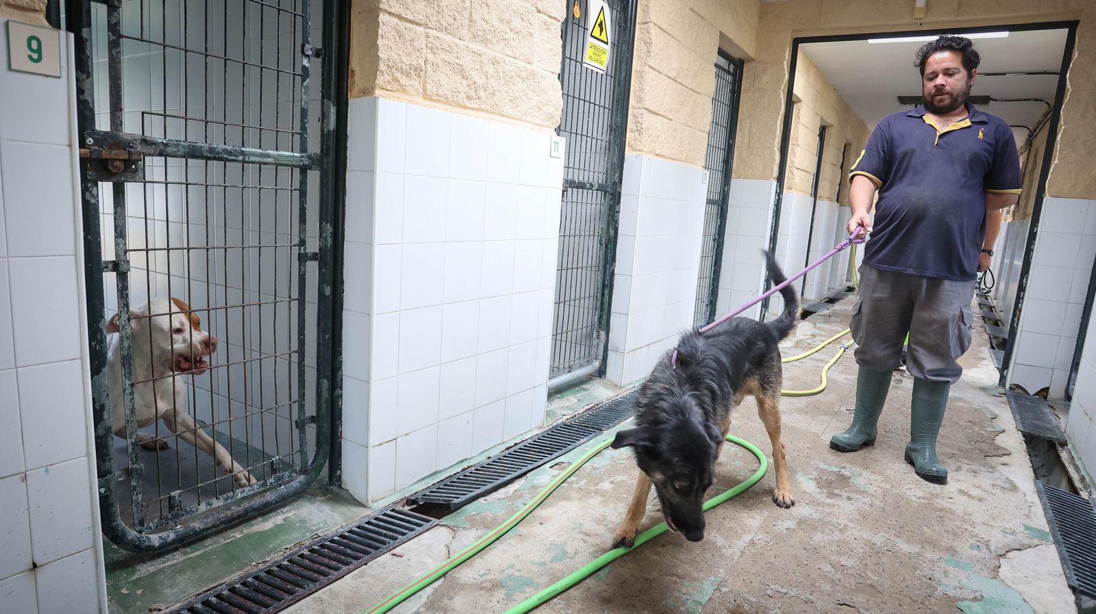 Centro de Protección Animal de Jerez