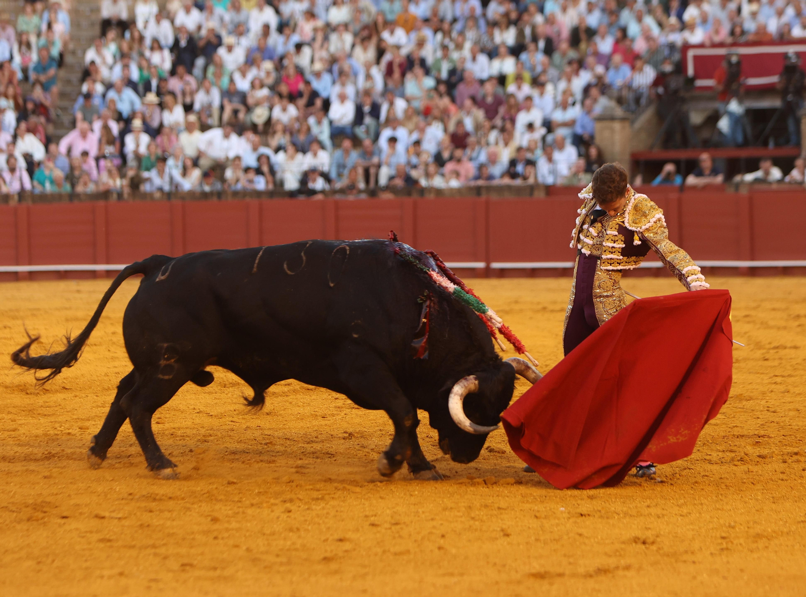Las mejores imágenes de la corrida de hoy