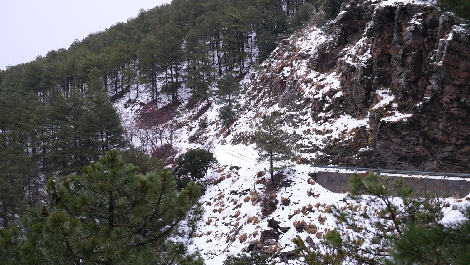 Fotogalería nevada en la Provincia de Almería