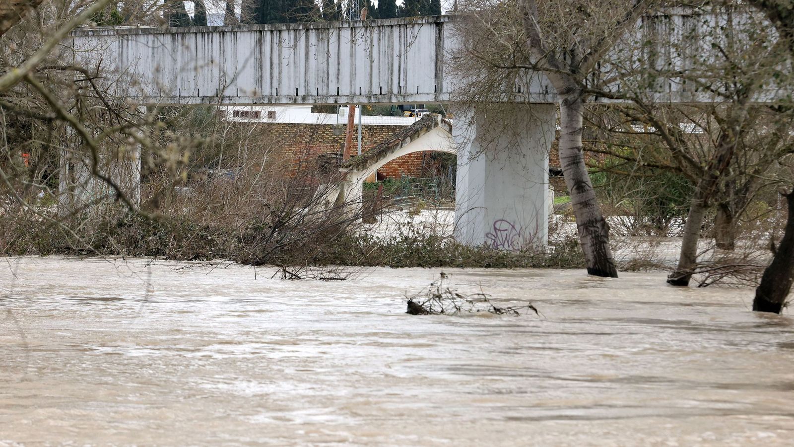 El Guadalete comienza a bajar su nivel poco a poco por la zona rural de Jerez