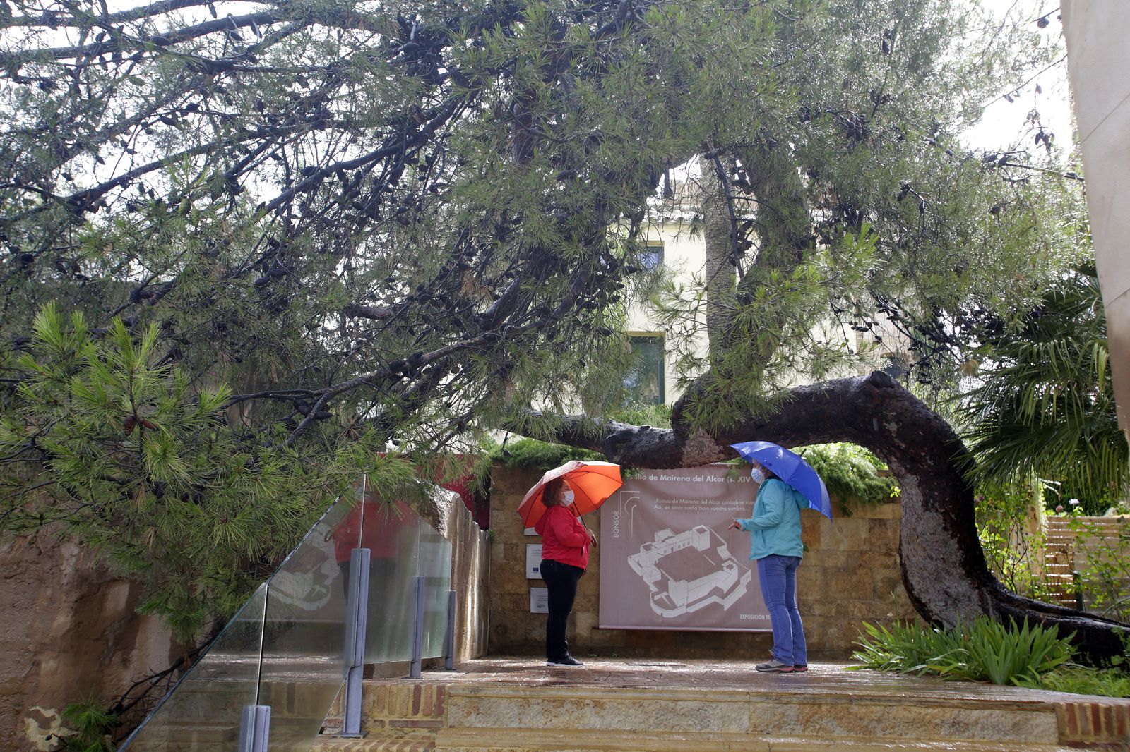 Castillo de Bonsor. Mairena del Alcor